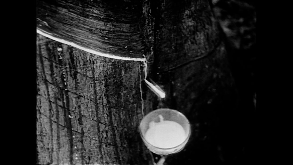 THE-CLEARING_STILL_FID_03